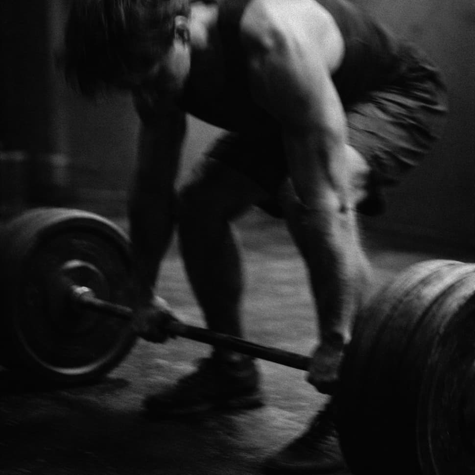 Build Muscle